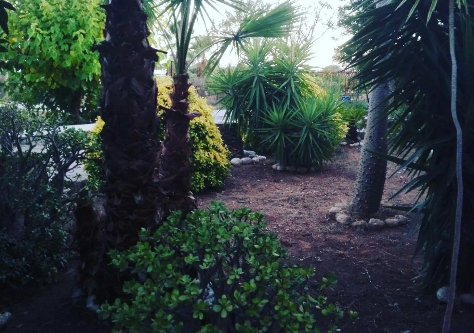 Villa Gomez Les Cases d'Alcanar Spain
